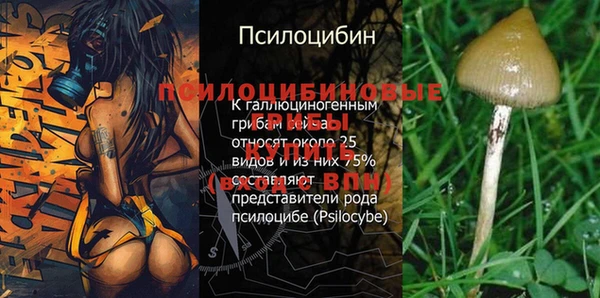 кокаин премиум Зеленокумск