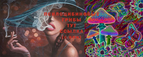 дживик Зеленодольск