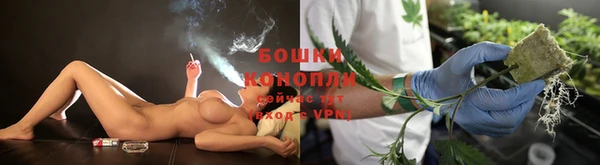 дживик Зеленодольск